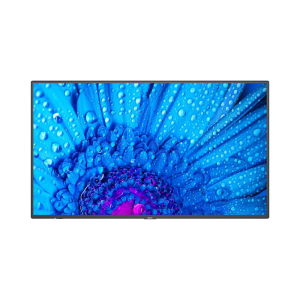 NEC MultiSync M651