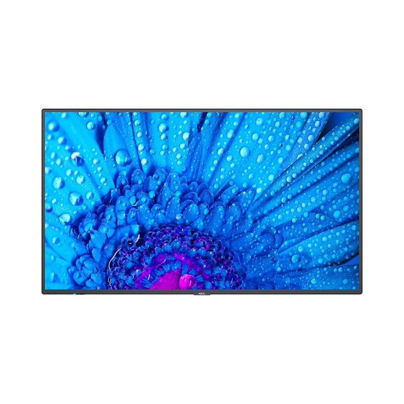 NEC MultiSync M651